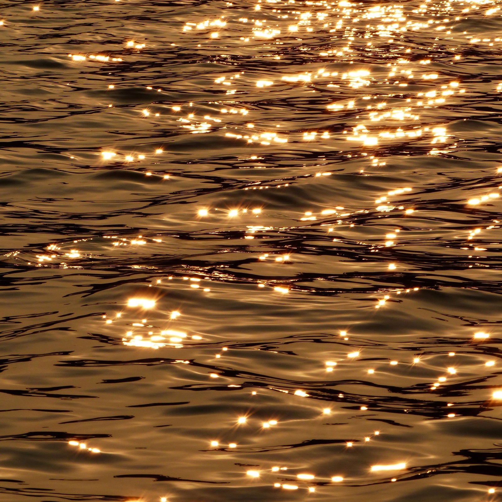 Ambres Larmes Fragrance Oil - Warm Amber Scent - Golden Sunlight on Water; https://cdn.shopify.com/videos/c/vp/3e70eea2c8da48d7a8acda770bb64f53/3e70eea2c8da48d7a8acda770bb64f53.HD-1080p-7.2Mbps.mp4