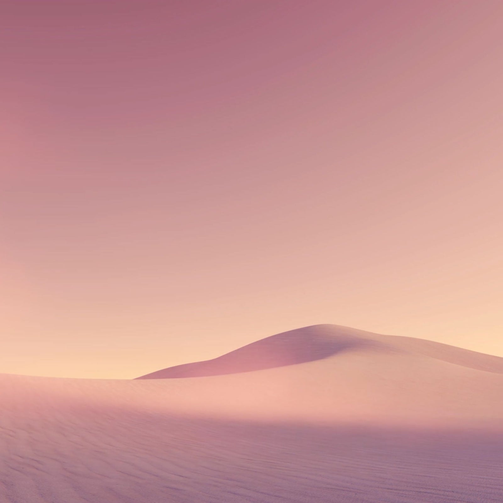 pink sand dune landscape; https://cdn.shopify.com/videos/c/o/v/56af6337849846a99b188967613b981d.mp4