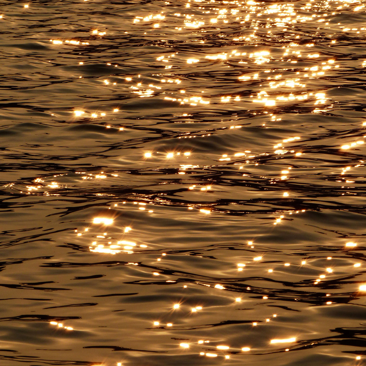 Ambres Larmes Fragrance Oil - Warm Amber Scent - Golden Sunlight on Water; https://cdn.shopify.com/videos/c/vp/3e70eea2c8da48d7a8acda770bb64f53/3e70eea2c8da48d7a8acda770bb64f53.HD-1080p-7.2Mbps.mp4
