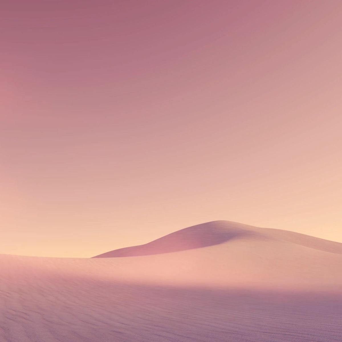 pink sand dune landscape; https://cdn.shopify.com/videos/c/o/v/56af6337849846a99b188967613b981d.mp4